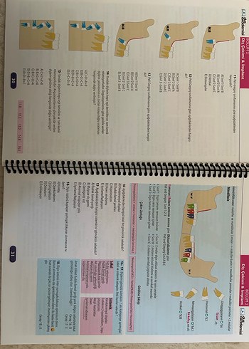 Dusakademi Cerrahisi Soru Bankası - Görsel 2