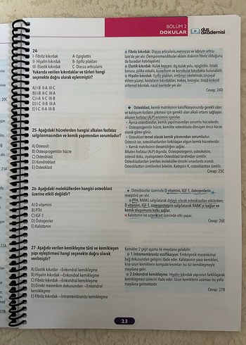 Dusakademi Fizyoloji Soru Bankası - Görsel 2