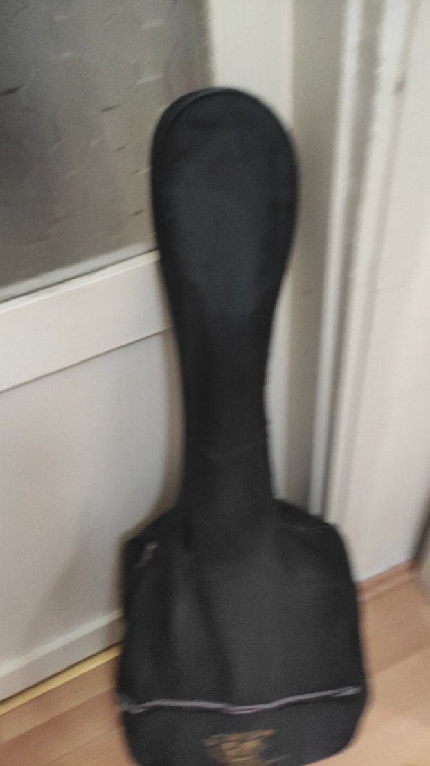 Gitar , elektrikli aparat metro,kitabı ve kalın kilifi4 birlikte - Görsel 5