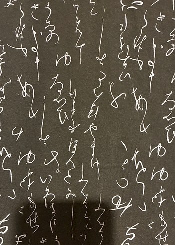 Kız Çocuk Siyah Uzun Kollu Payetli Tişört 4-5 yaş - Görsel 8