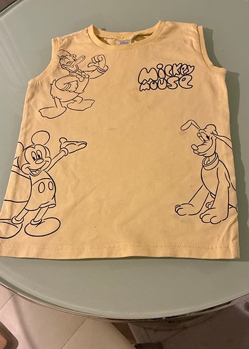 Walt Disney World 24-36 Ay