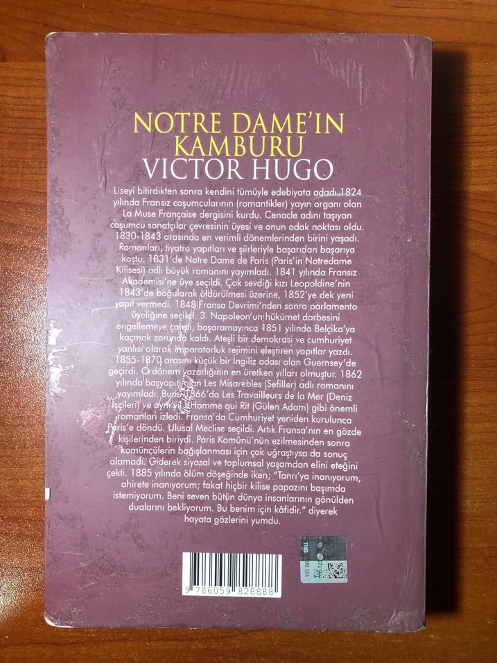 Notre Dame'in Kamburu - Victor Hugo - Görsel 2