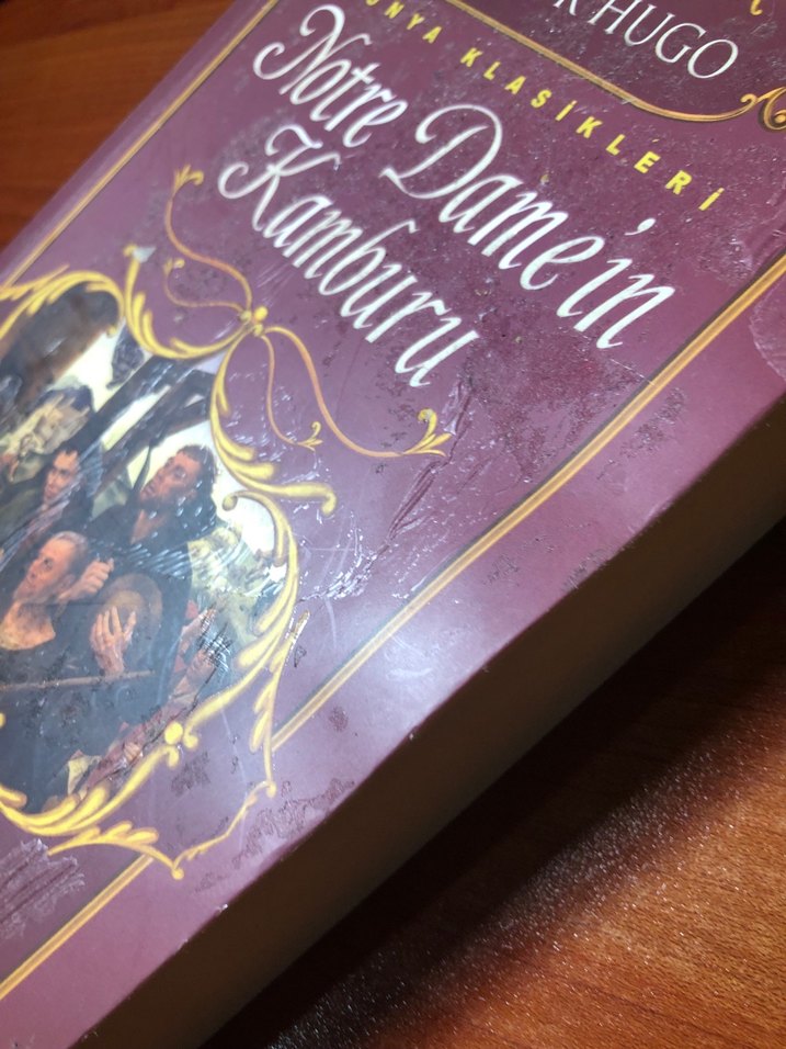 Notre Dame'in Kamburu - Victor Hugo - Görsel 3