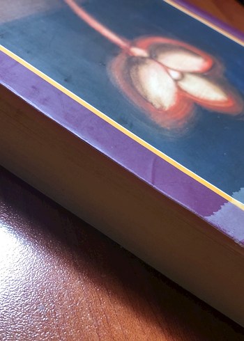 Yaşar Kemal - Ölmez Otu Romanı - Görsel 3