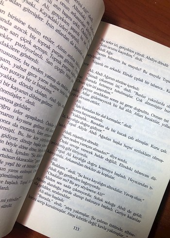 Yaşar Kemal - İnce Memed 1 - Görsel 4