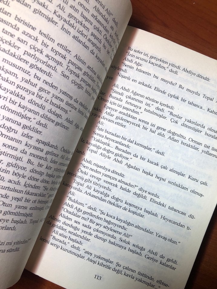 Yaşar Kemal - İnce Memed 1 - Görsel 4