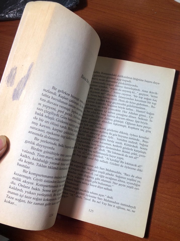 Yaşar Kemal - Sarı Sıcak Romanı - Görsel 3