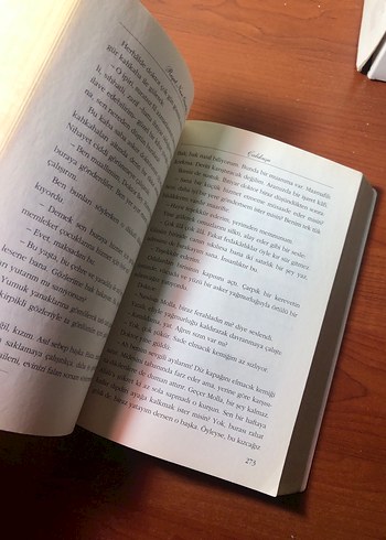 Çalıkuşu - Reşat Nuri Güntekin - Görsel 4