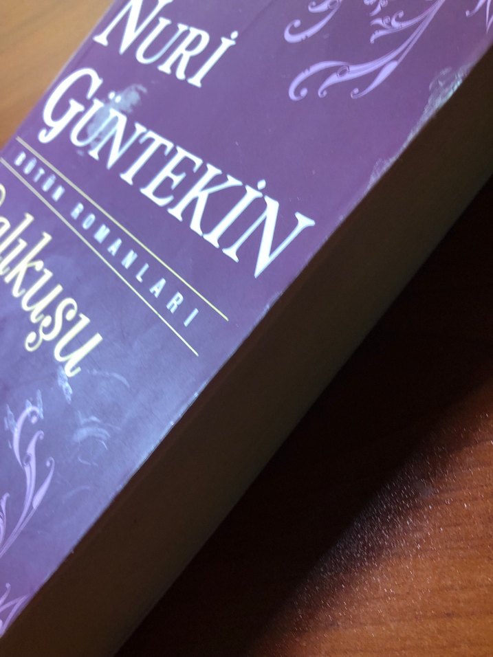 Çalıkuşu - Reşat Nuri Güntekin - Görsel 3