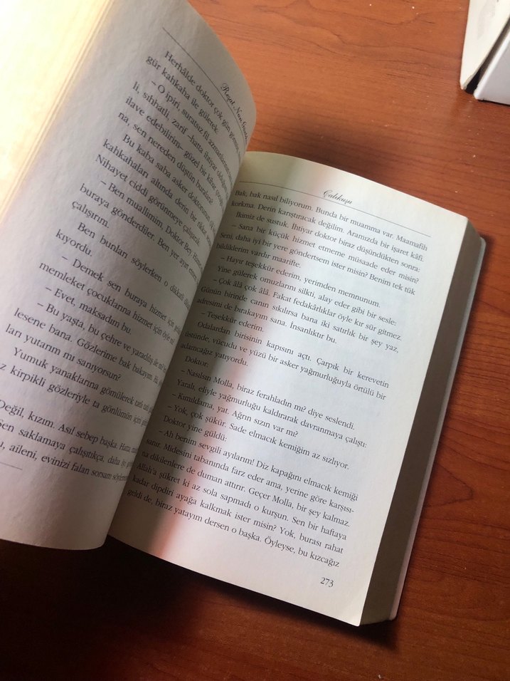 Çalıkuşu - Reşat Nuri Güntekin - Görsel 4