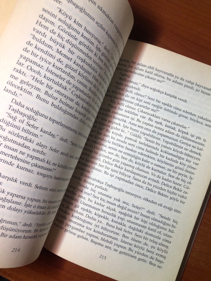 Yer Demir Gök Bakır - Yaşar Kemal - Görsel 4