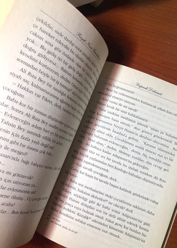 Reşat Nuri Güntekin - Yaprak Dökümü - Görsel 4