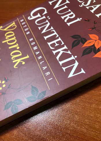 Reşat Nuri Güntekin - Yaprak Dökümü - Görsel 3