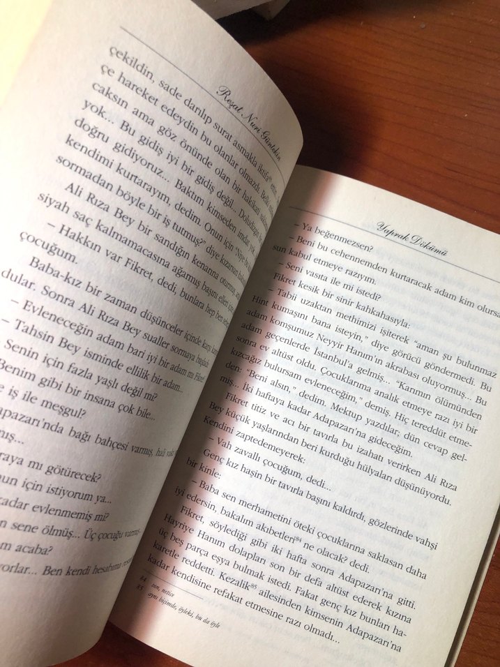 Reşat Nuri Güntekin - Yaprak Dökümü - Görsel 4
