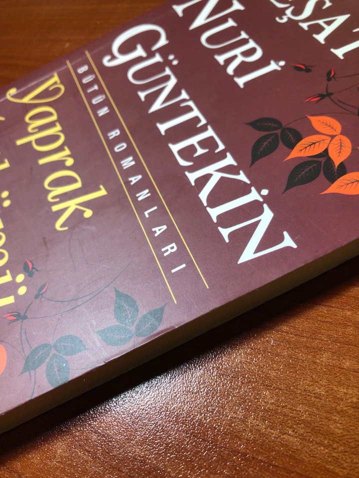 Reşat Nuri Güntekin - Yaprak Dökümü - Görsel 3