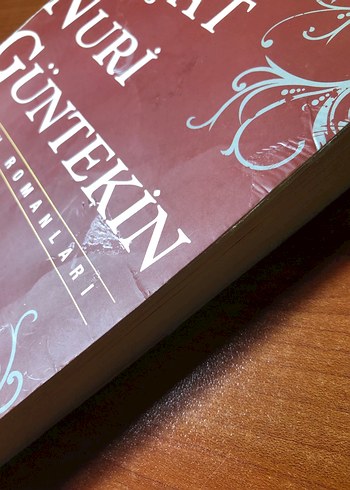 Reşat Nuri Güntekin Kan Davası Romanı - Görsel 3