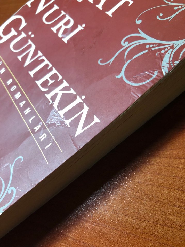 Reşat Nuri Güntekin Kan Davası Romanı - Görsel 3