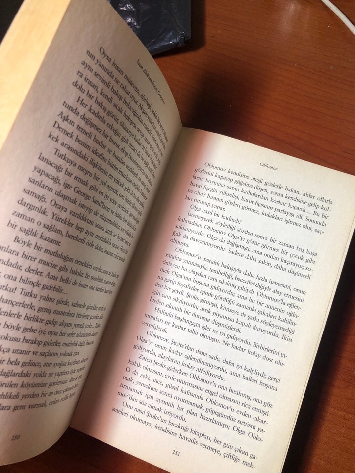 Oblomov - Ivan Aleksandroviç Gonçarov - Görsel 4