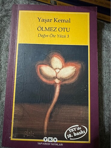 Yaşar Kemal Ölmez Otu Kitap