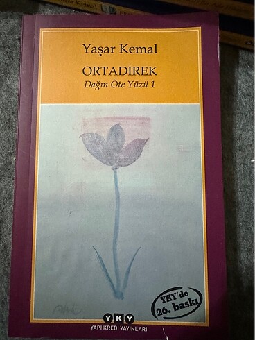 Yaşar Kemal Ortadirek Kitap