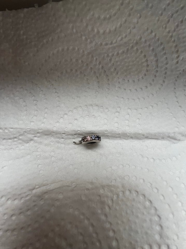 Pandora charm - Görsel 2