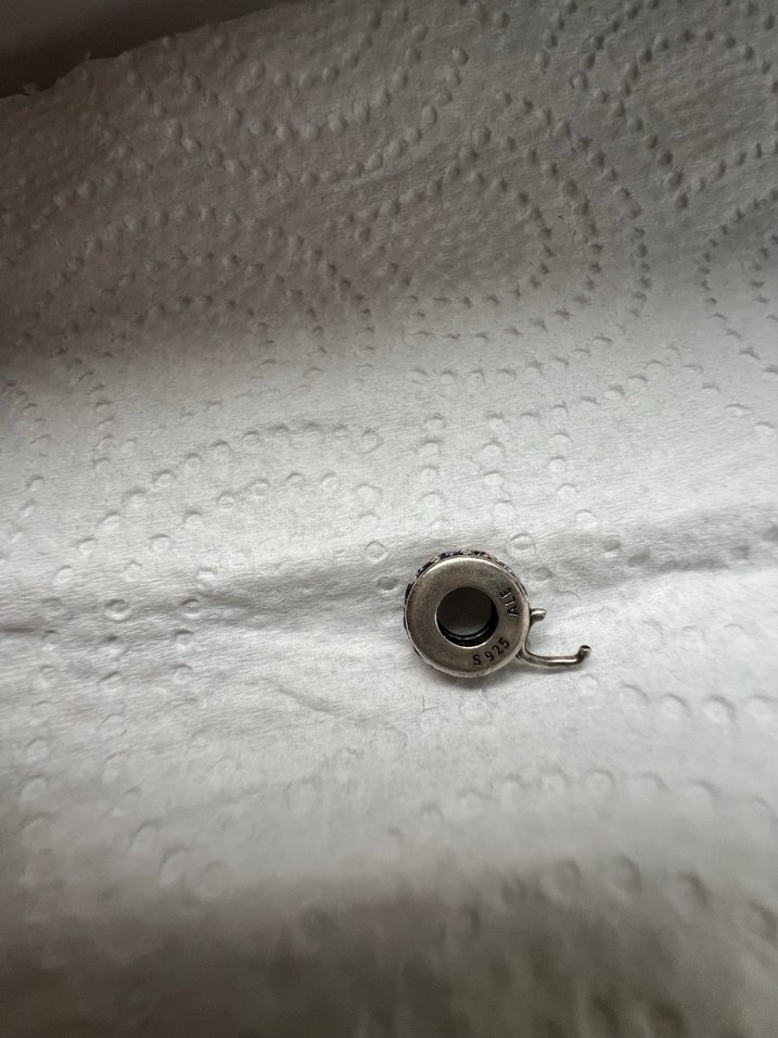 Pandora charm - Görsel 4