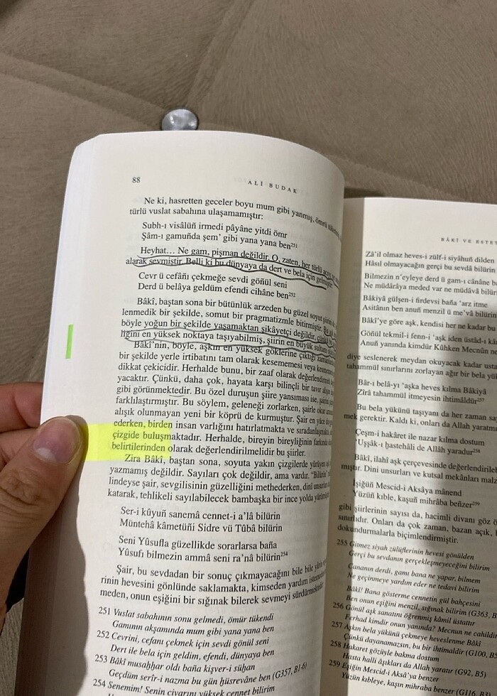 Baki ve estetiği - Görsel 3