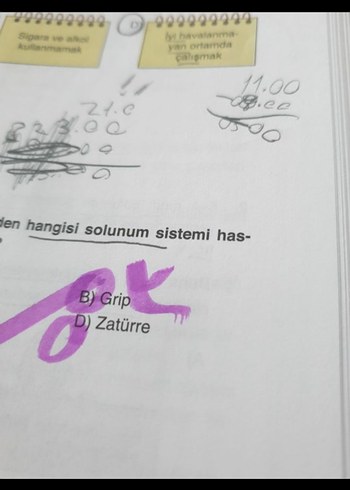 Bahçeşehir Koleji 6. sınıf kitapları - Görsel 2