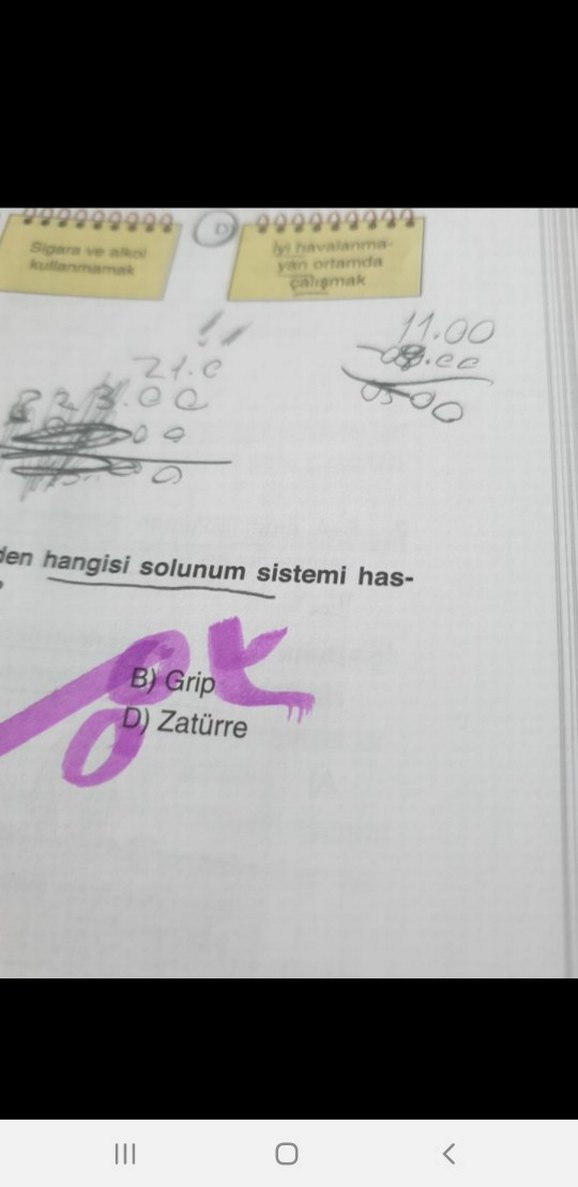 Bahçeşehir Koleji 6. sınıf kitapları - Görsel 2