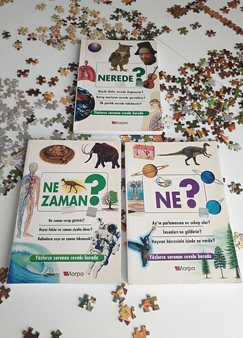 Beden Renk Morpa ne nerede ne zaman