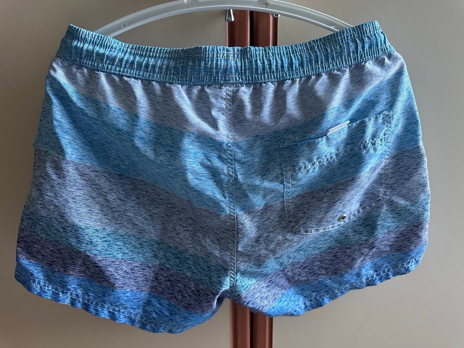 Lacoste erkek deniz şortu - Görsel 2