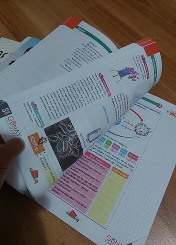 5.sınıf test kitapları - Görsel 6