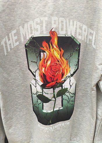 s Beden gri Renk Gri Baskılı unısex Sweatshirt