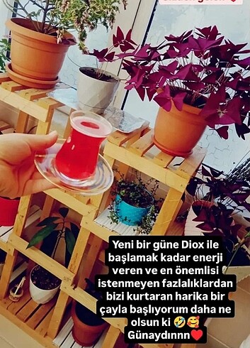  Beden Diox tea 