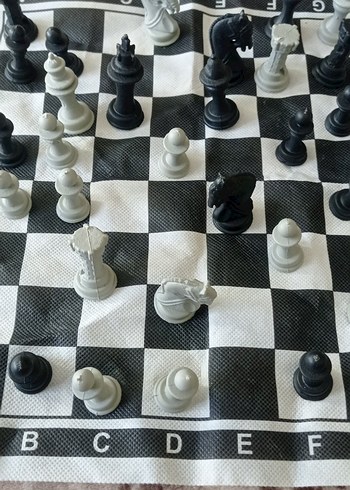 Beyaz ve Gri Satranç Takımı - Görsel 6