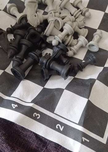 Beyaz ve Gri Satranç Takımı - Görsel 5