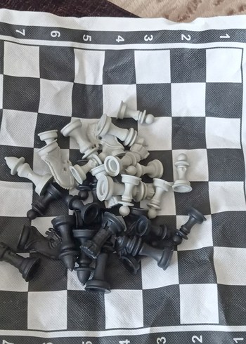 Beyaz ve Gri Satranç Takımı - Görsel 2