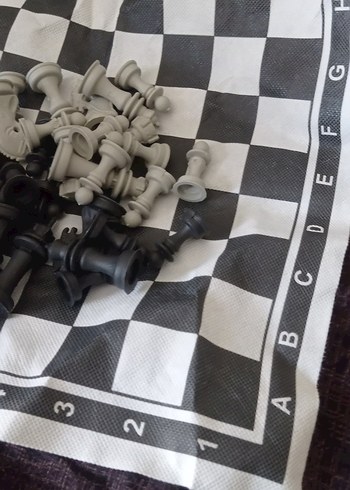 Beyaz ve Gri Satranç Takımı - Görsel 4