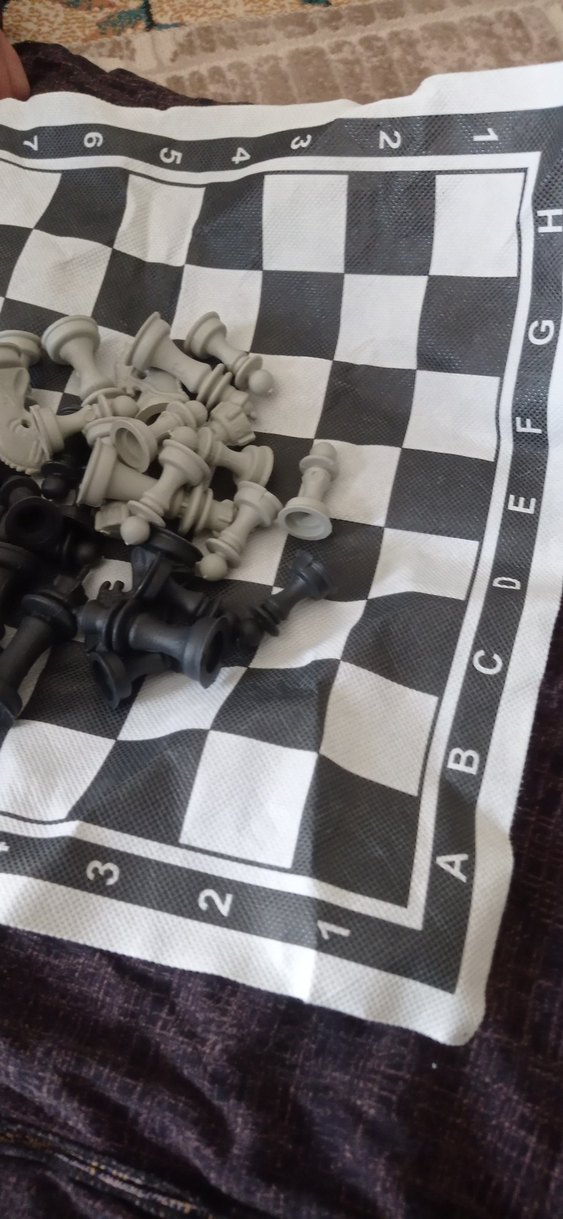 Beyaz ve Gri Satranç Takımı - Görsel 4