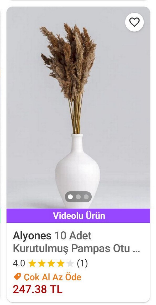 SAZLIK/PAMPAS BİTKİSİ ORJİNAL - Görsel 2