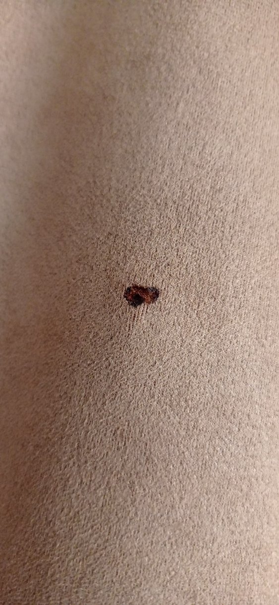 Süet Erkek Ceket - Görsel 2