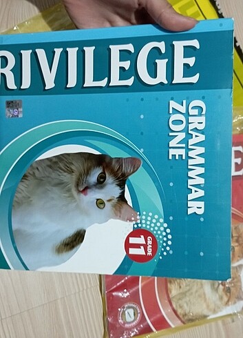 Dil bölümü için kitap - Görsel 6