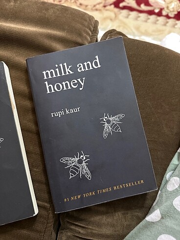  Beden Süt ve bal milk and honey kitap