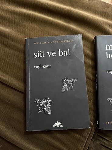  Süt ve bal milk and honey kitap