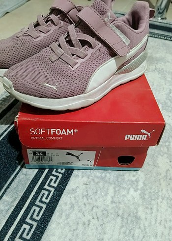Puma 34