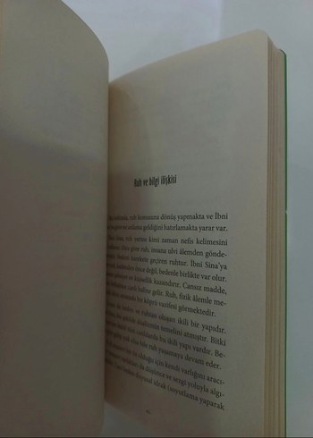 İbni Sina ve Şems-i Tebrizi - Görsel 4
