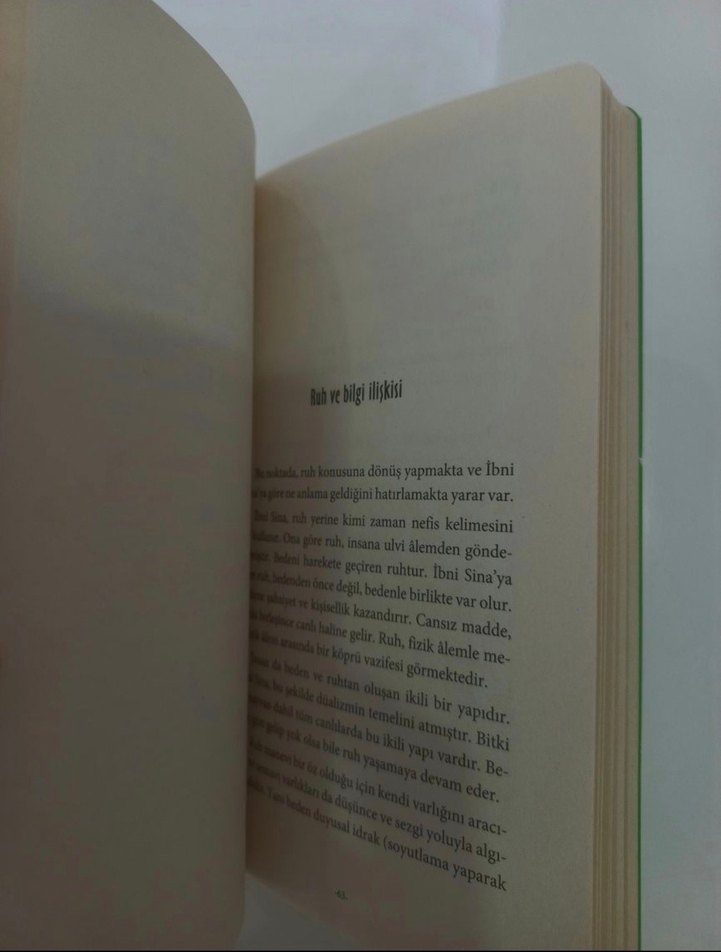 İbni Sina ve Şems-i Tebrizi - Görsel 4
