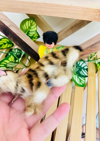 Renkli Geleneksel Kıyafetli Bebekler ve Hayvan Figürü - Görsel 9