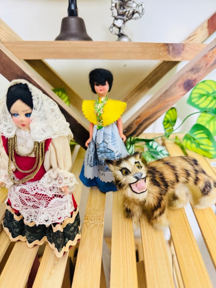 Renkli Geleneksel Kıyafetli Bebekler ve Hayvan Figürü - Görsel 4