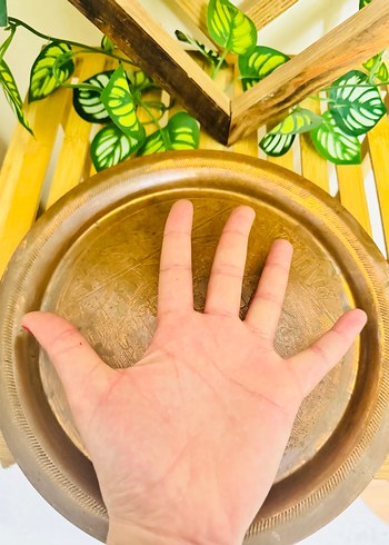 Bej Parlak Düz Desensiz Tabak - Görsel 6